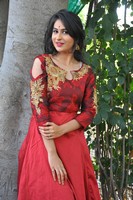 Priya Choudhary At Kumar Raja Opening